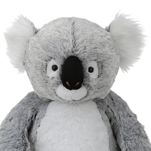 Koala pour 20